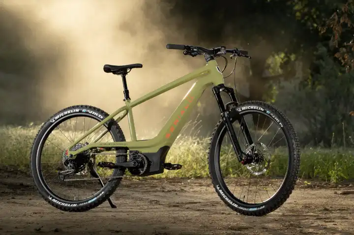 Serial 1 electric mountain bicycle